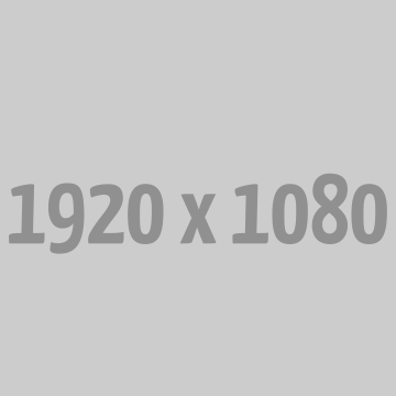 The Spirit of Basketball: Skill, Teamwork, and Strategy